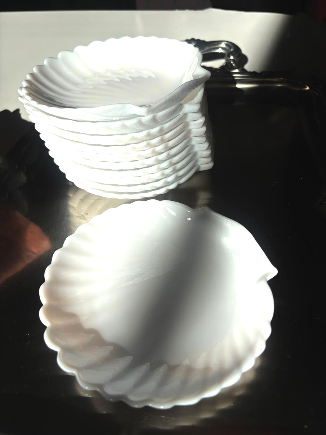 Set of opaline shell plates (11) | milky white glass Atelier Aeris