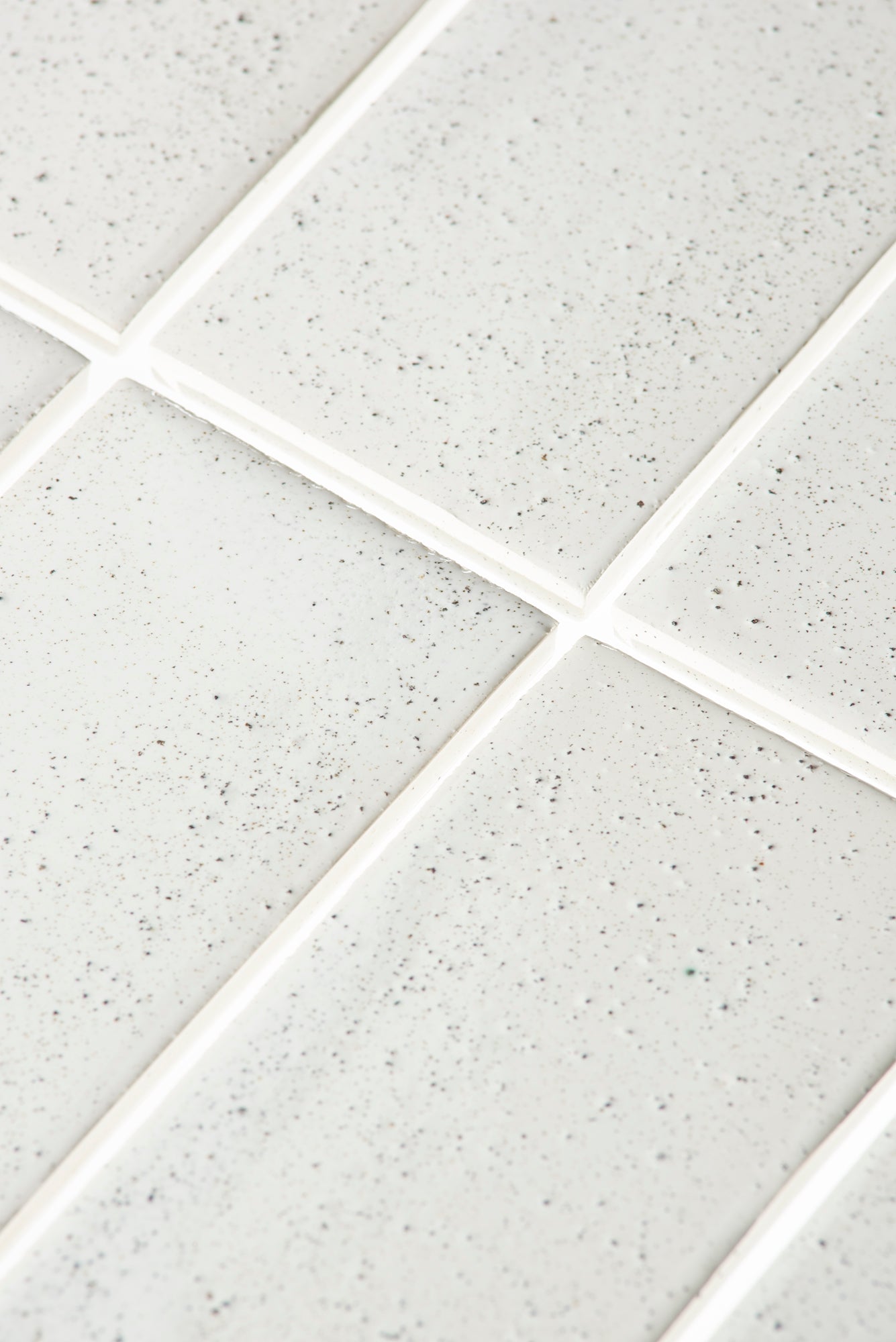 MTP1G-6 Agnė Kučerenkaitė