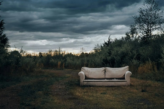 The True Cost of Cheap Furniture draumr