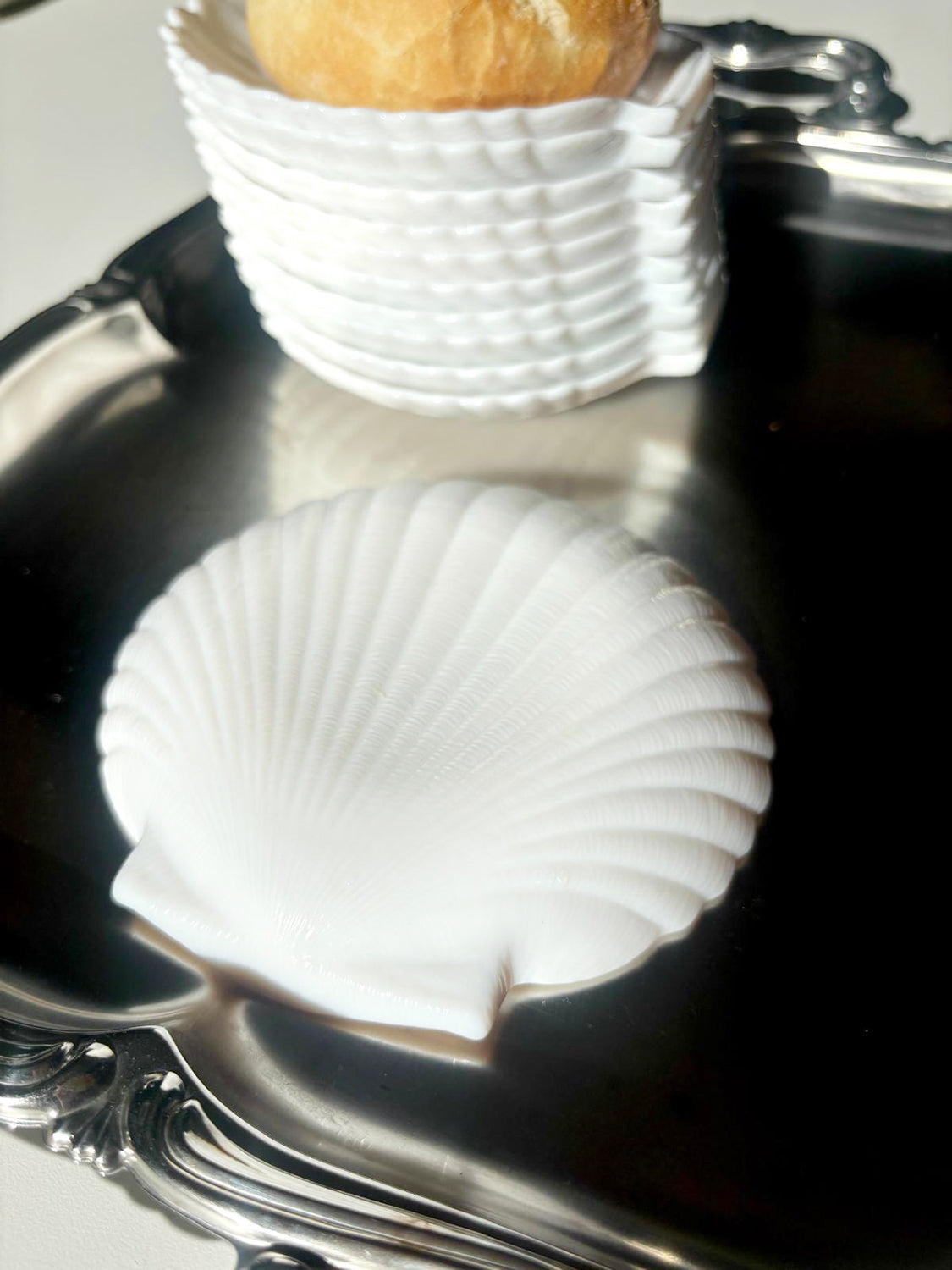Set of opaline shell plates (11) | milky white glass