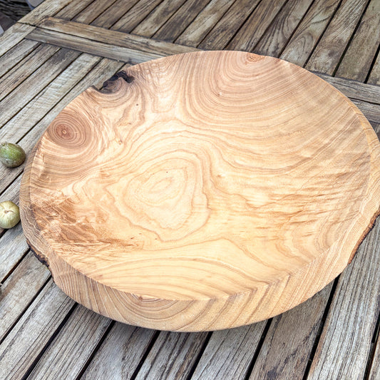 Bowl Palonia Tree draumr