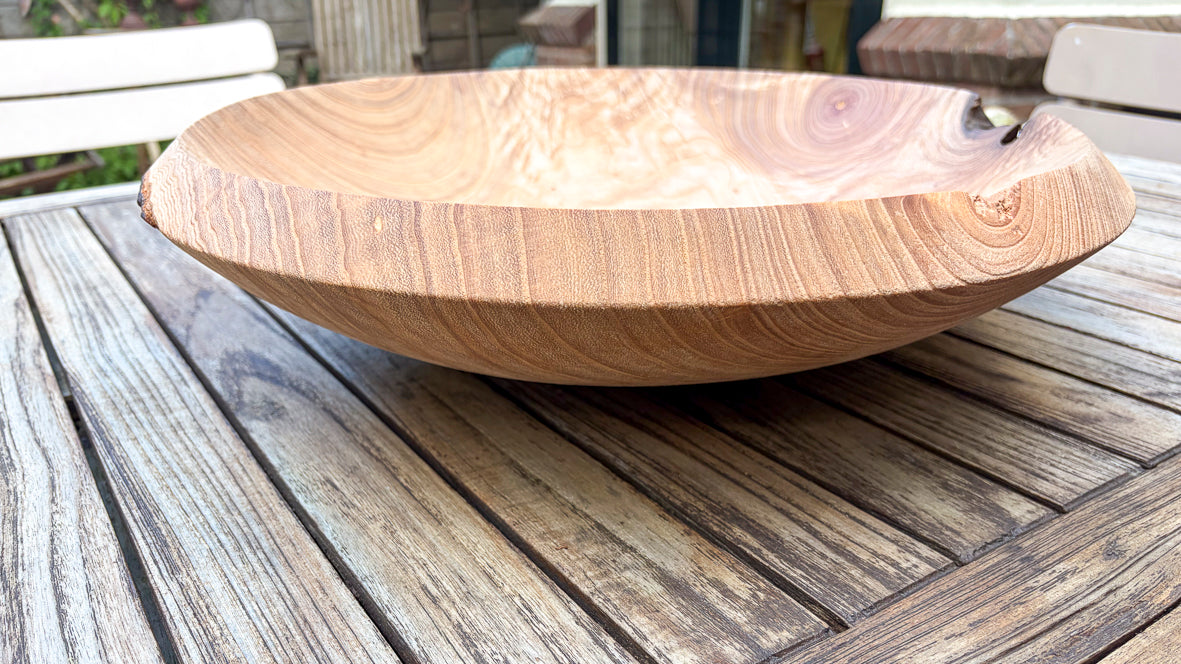 Bowl Palonia Tree draumr