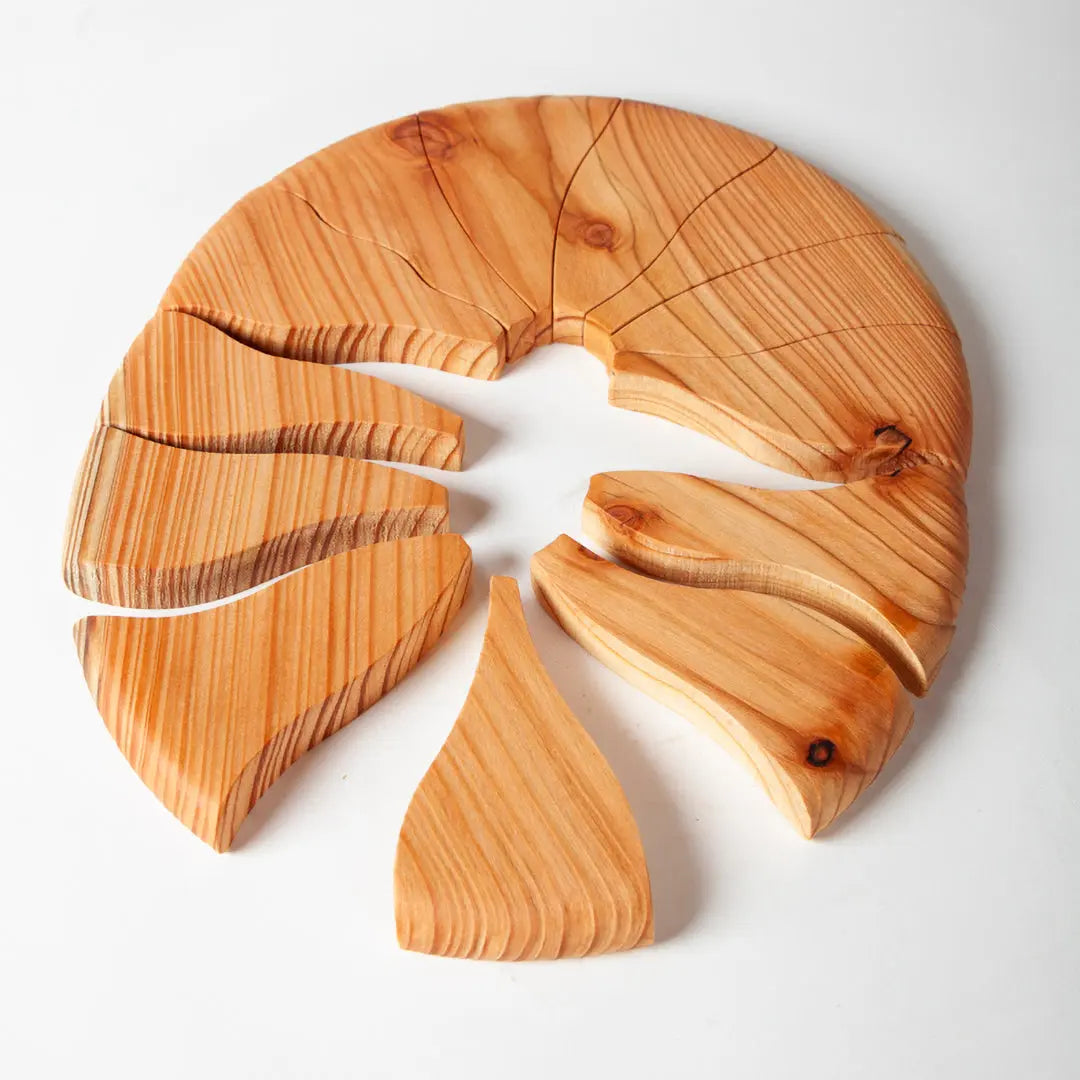 Tactile puzzle Douglas Otto Koedijk